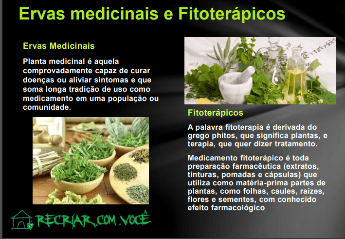 Recriar Projeto Ervas Medicinais e Aromáticas