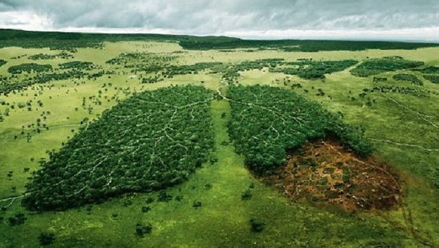 Sustentabilidade: Adjetivo ou Substantivo